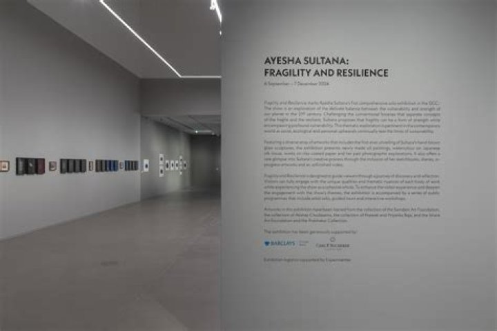 A Journey Of Discovery And Reflection