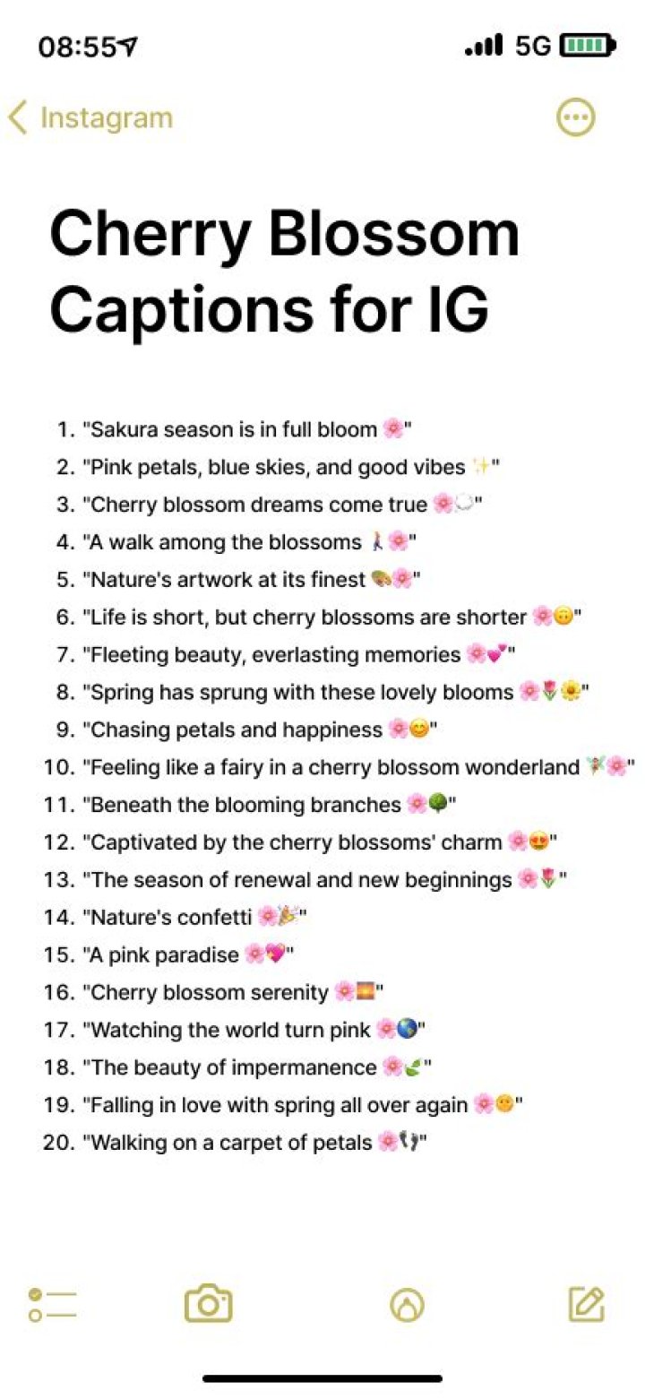 Unlock The Secrets Of Cherry Blossom Instagram Captions: A Photographer's Guide To
