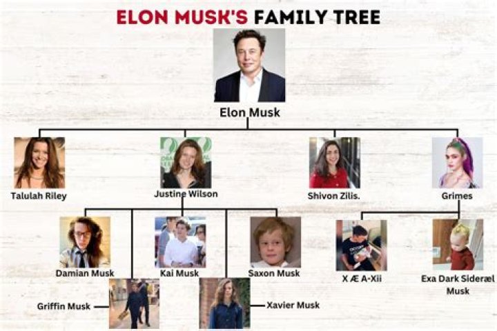 Discover Hidden Truths About The Enigmatic Griffin Musk And His Siblings