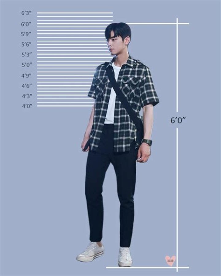 Unraveling The Height Of Cha Eun Woo: Discoveries And Insights