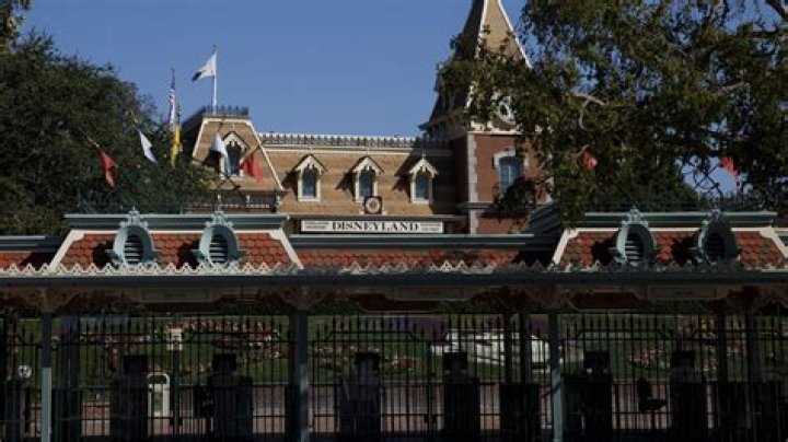 Unveiling Disneyland's History: Deaths And Safety Measures