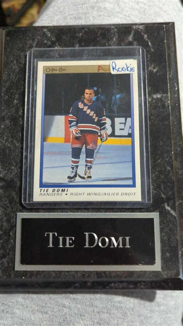 Inside The Life And Career Of Max Domi