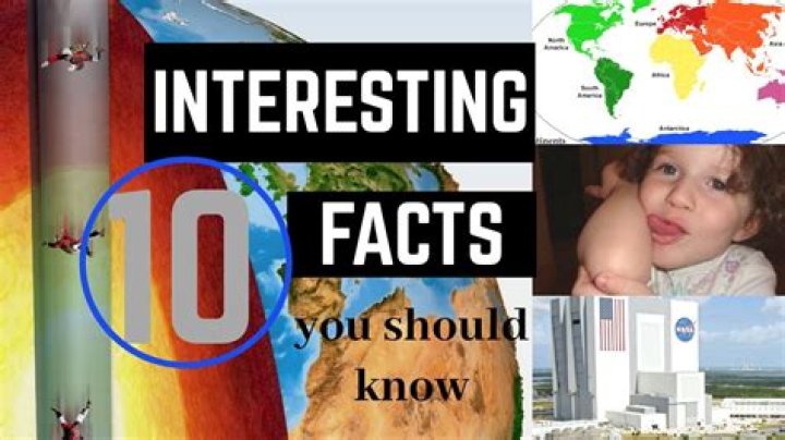 Interesting Facts That You Should Know |