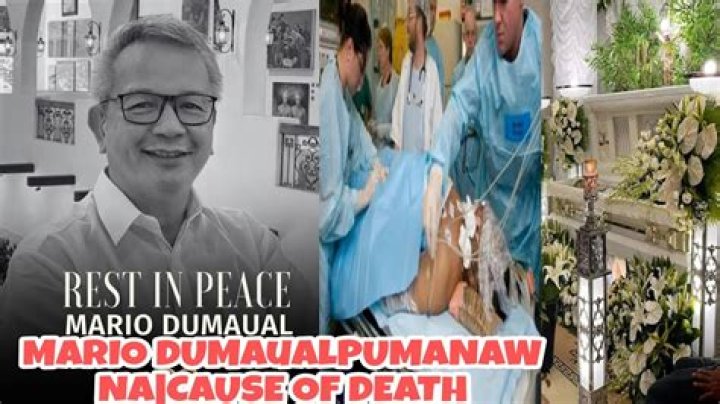Unveiling The Cause Behind Mario Dumaual's Tragic Demise