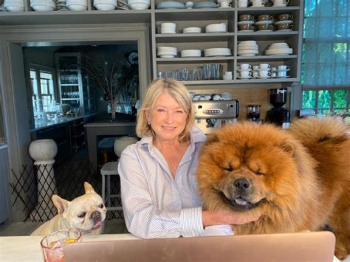 Martha Stewart's Dogs And Their Enduring Impact