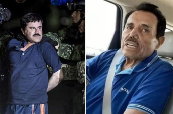 Unveiling The Staggering Wealth Of Mayo Zambada: Secrets And Revelations