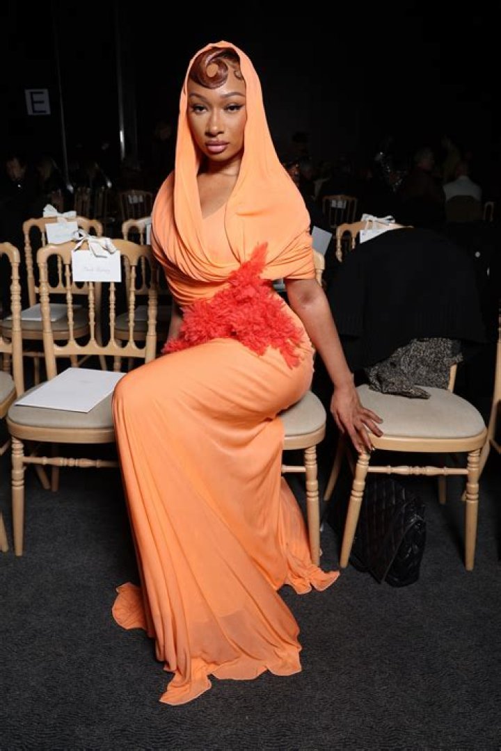 Unveiling The Truths And Impacts Of Megan Thee Stallion's Pregnancy