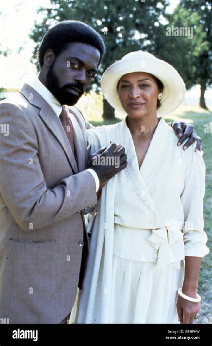 Unveiling The Marital History Of Howard Rollins Jr.: Surprising Revelations