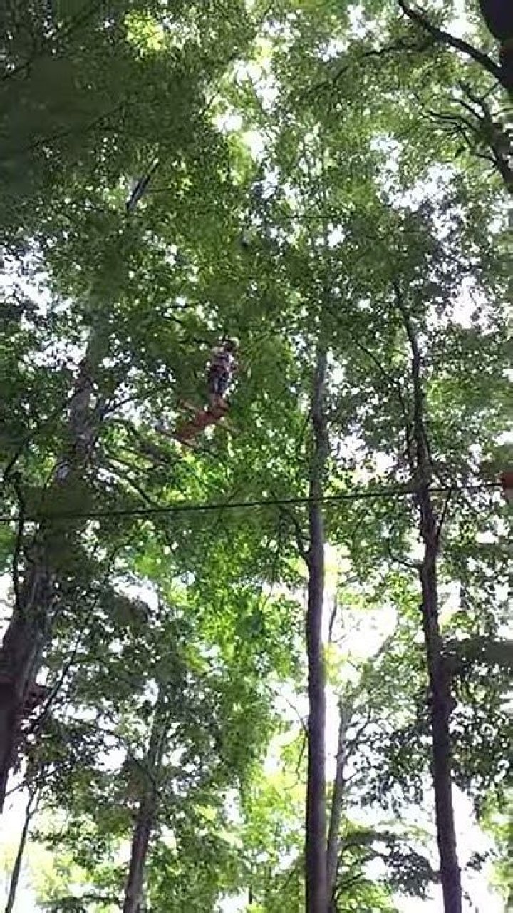 Louis John Ruggiero Bio, Wiki, Age, Wife, Children, Family, Career and Net Worth